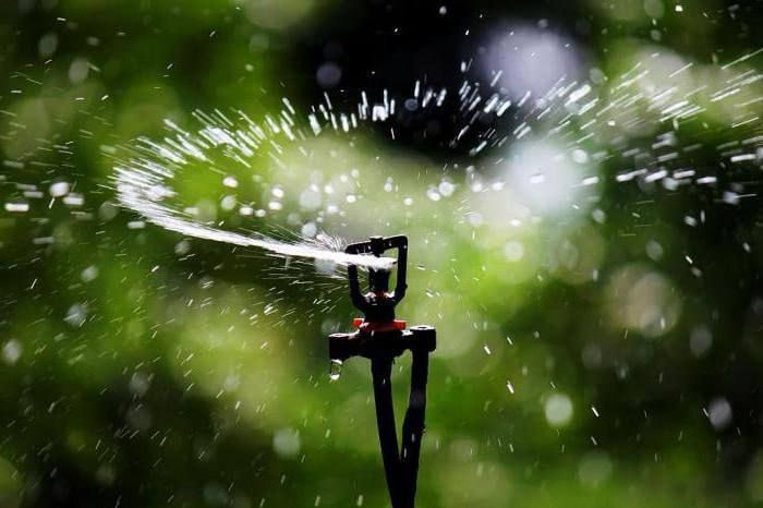 � 2024 ���� ����� �� ���� ��� �������� �������� 1,74 ����� �� ��������, �������� ����������