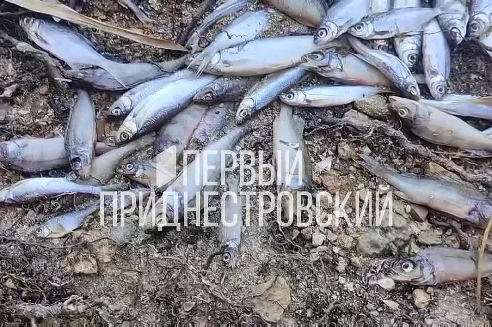 ������� ���� �� ������ � ������ (������������ �����)