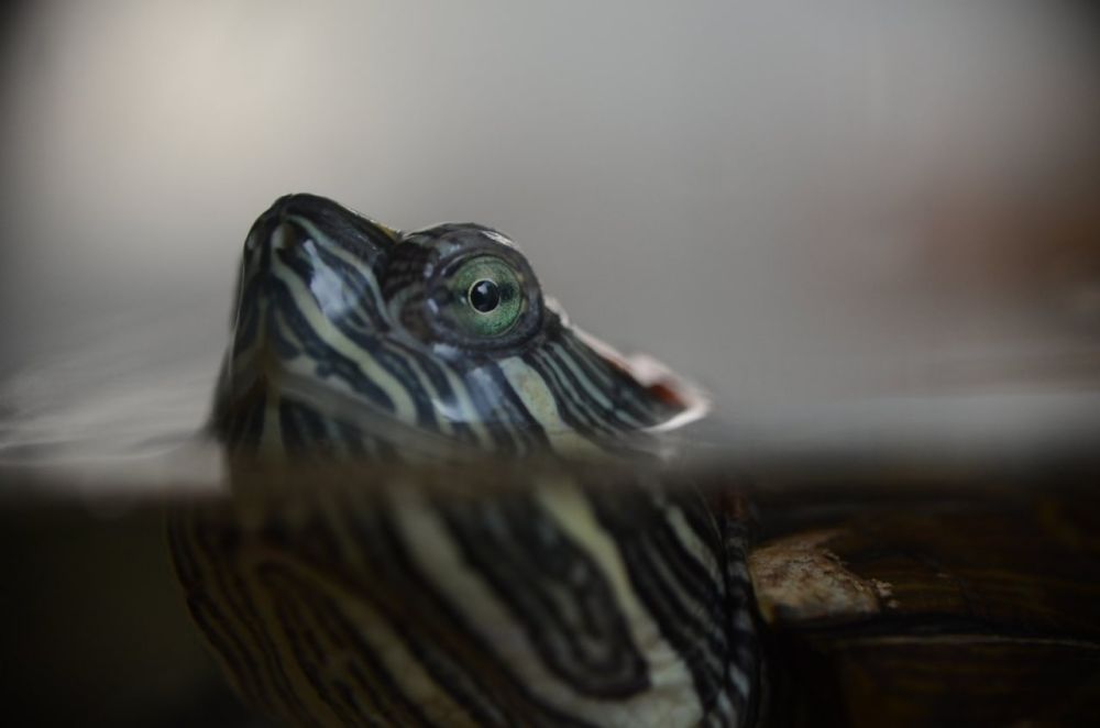 ���������� ������� ����� ����� ��������� � ��������������� ��������