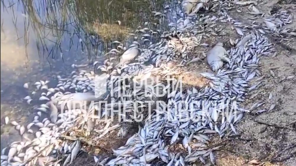 � ������� ������ ����: ���� ����� ����� ������� �������, ������ � ����