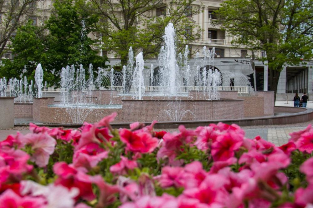 � 14 ������� � ������� ������� ��������� ������