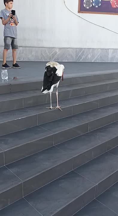 � ������� � ������ ���� �����������