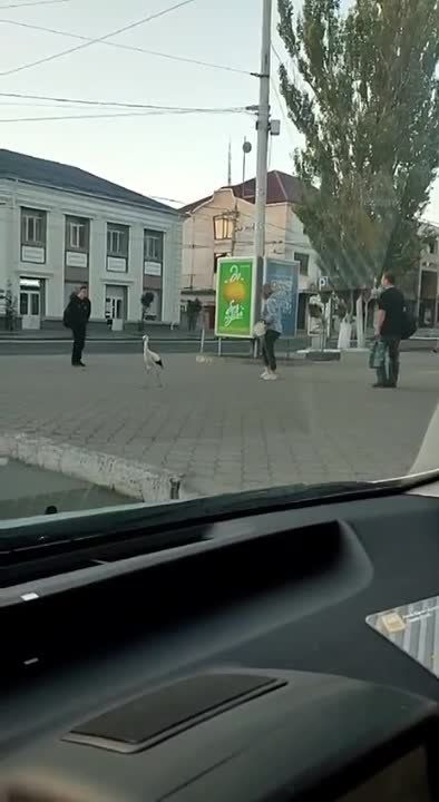 � �������� ���� �������� ����������� ����� �� ������ ������