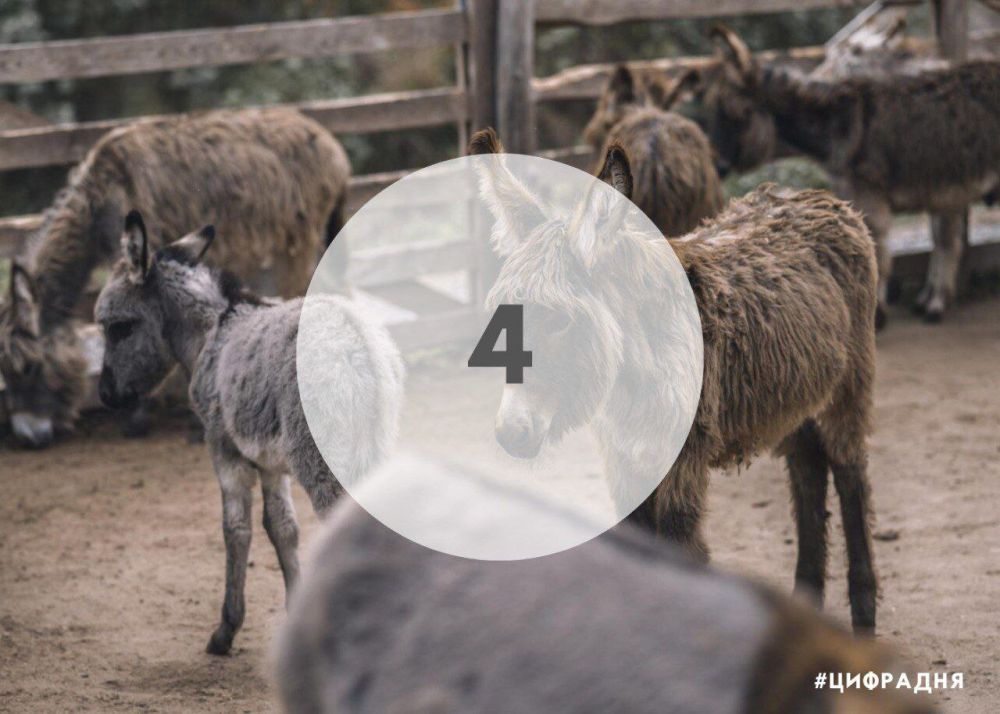 � ����� ������� ������� ���������� �����������