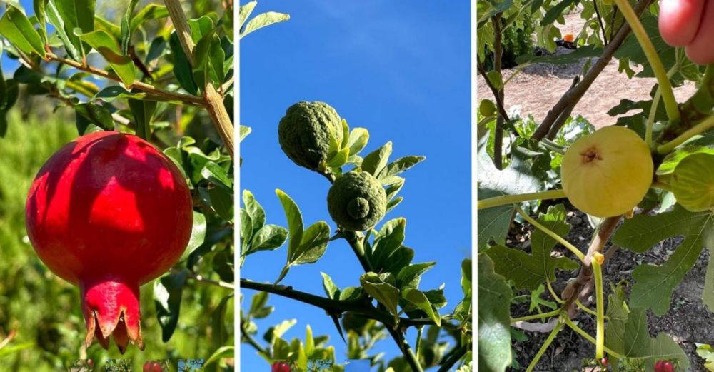 � ������������ ���� ����� ������� ������� � ������ �� ����� ����� ����������� ����� �����