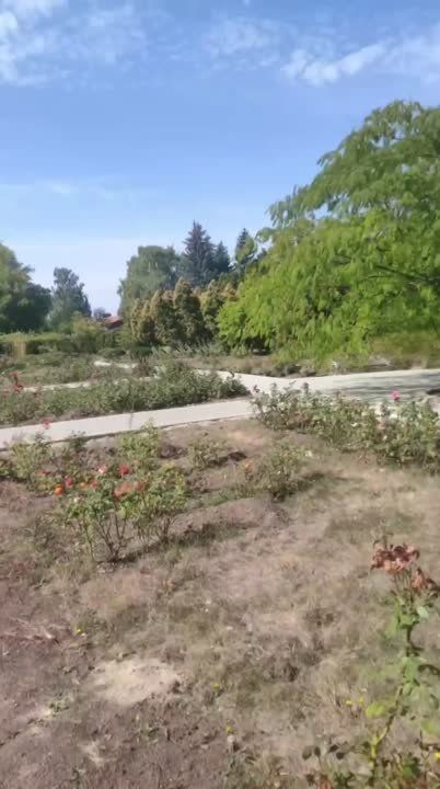 ����������������� � ������ � ��������� � ��������� ���� ����� �������