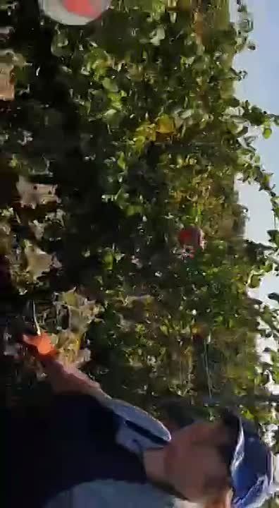 � �������� � ����� ������� ������ ���������