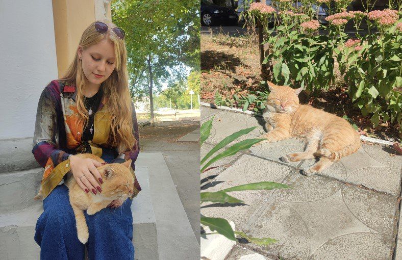 �������� ���� ���� �� ������ � ��������