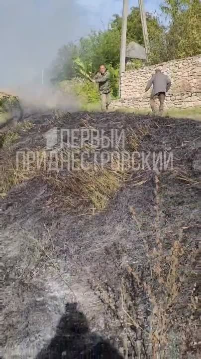 ������, ������! ���-�� �����!�