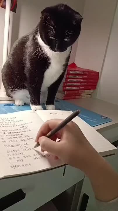 ����� ������� ������������ ������� � ������� ��������� ��� ������� ����� ������ ����� ������ �� ����������