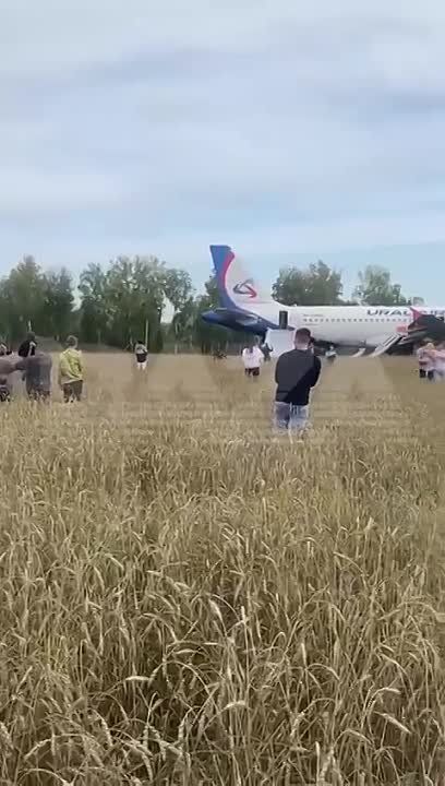 "���� �� ���������� ����-2": ������� "��������� ���������" ����� ��������� ��� � ������� �� ����� ��������, �� �� ���� ��� ��-�� ������ ����������