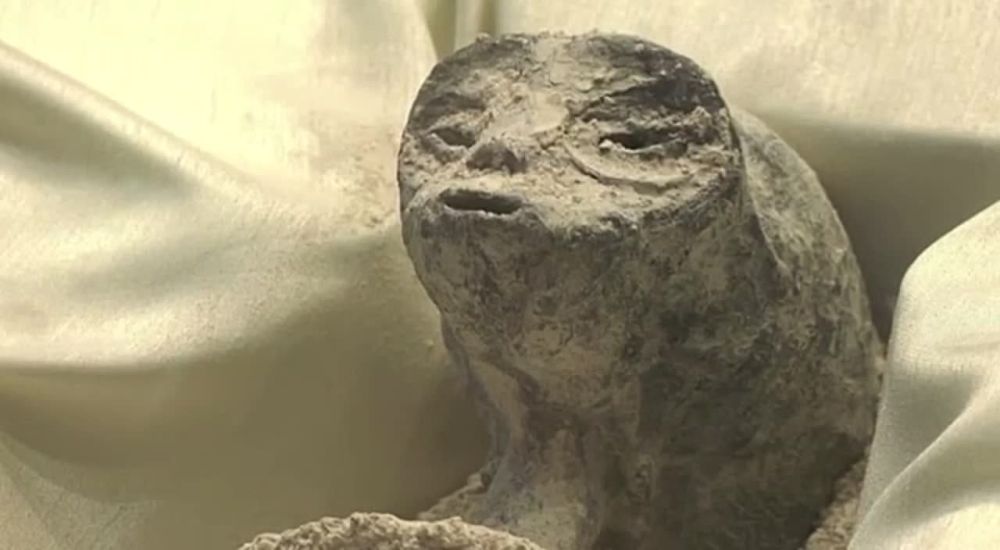 ��������� ����������. ������������ ���������-������ ������ � ������� �������� ���������������� �������, ������� ���� ������� �� ����� �������� � ����. ������������ ��������, ��� �� ����� ������ ��� � ��� ���������� �������������