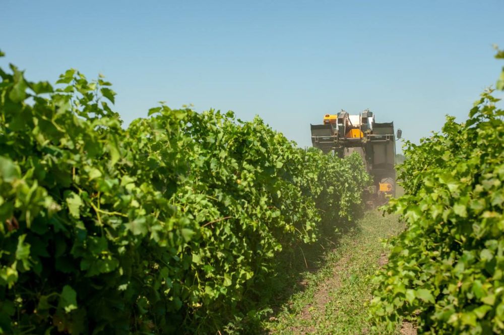 � �������� ������ ������ ����� ���������