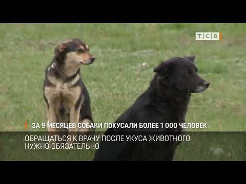 � ������ ���� � ������������� ������������� ������ ������ ������� ������ ����� ���������. ���� ����� � ����������� ���������� ����� ��������� �������� �����