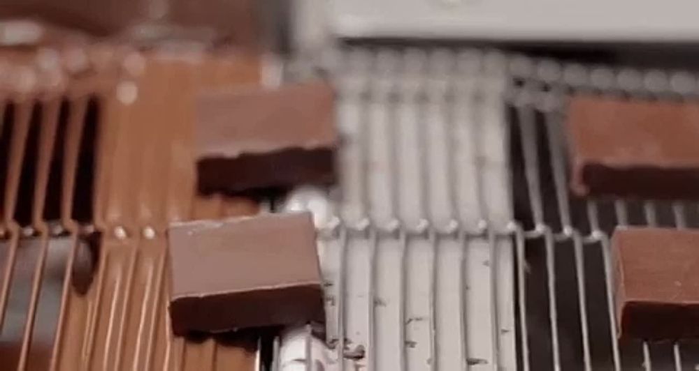 ����� ������ ������� ��������� � ������� ���� ��������