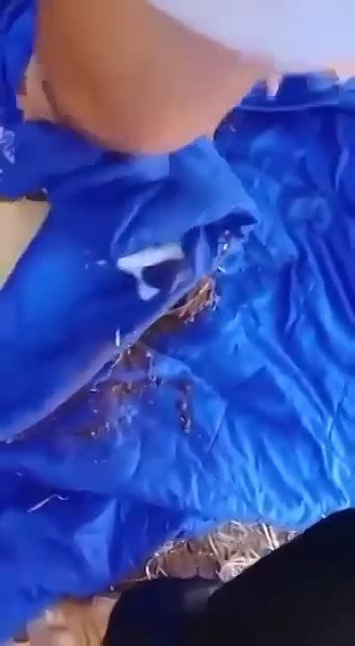 �������� ����� ����� ��� �������� � �������