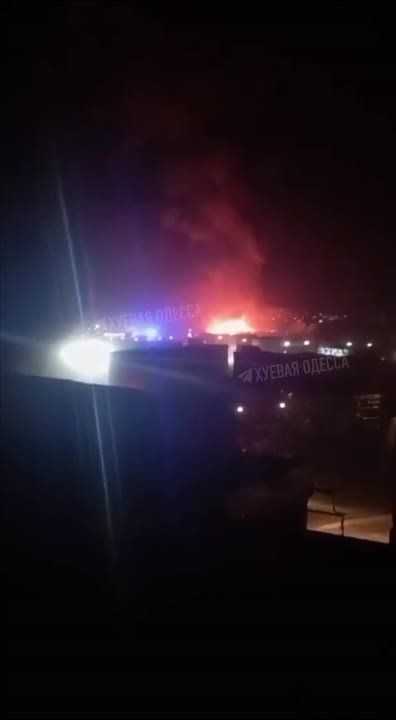 ����� �� ������ ������� ���� ������������ �� 12 ������-��������� �������� �� ��������� ����� ����