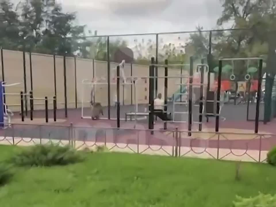 ����� ����� �������� �� ����� � �������-��-����