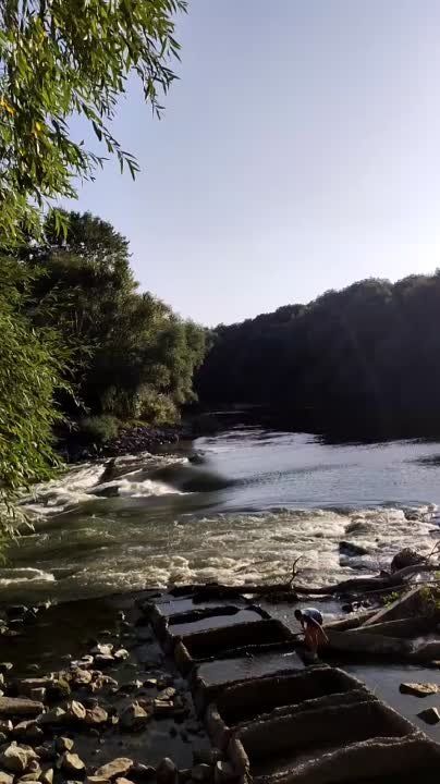 �������, �����������, ��������� ����� ������������� ��������� � ����� "������������" ������� � ���������