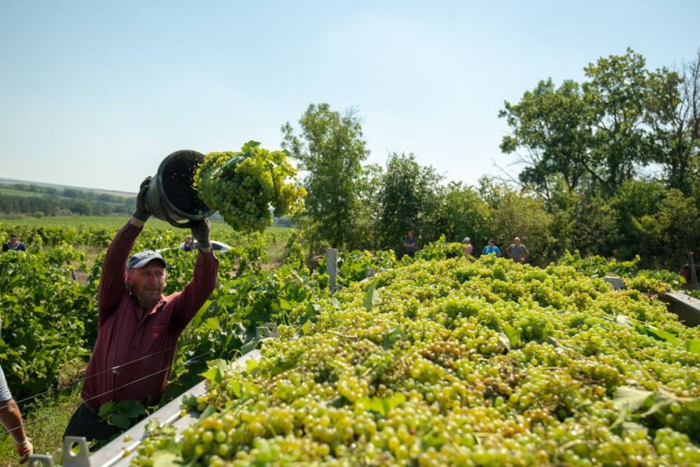 ����� ��������� ����������� ���� �� ���������� ��������� � �����������