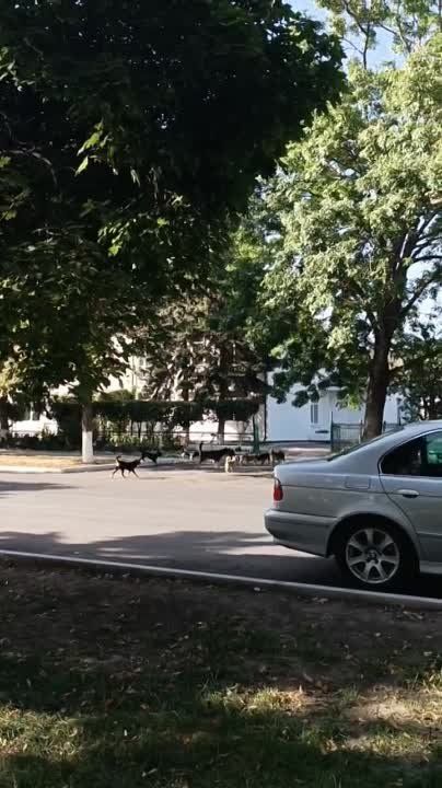 ����� �� ����������