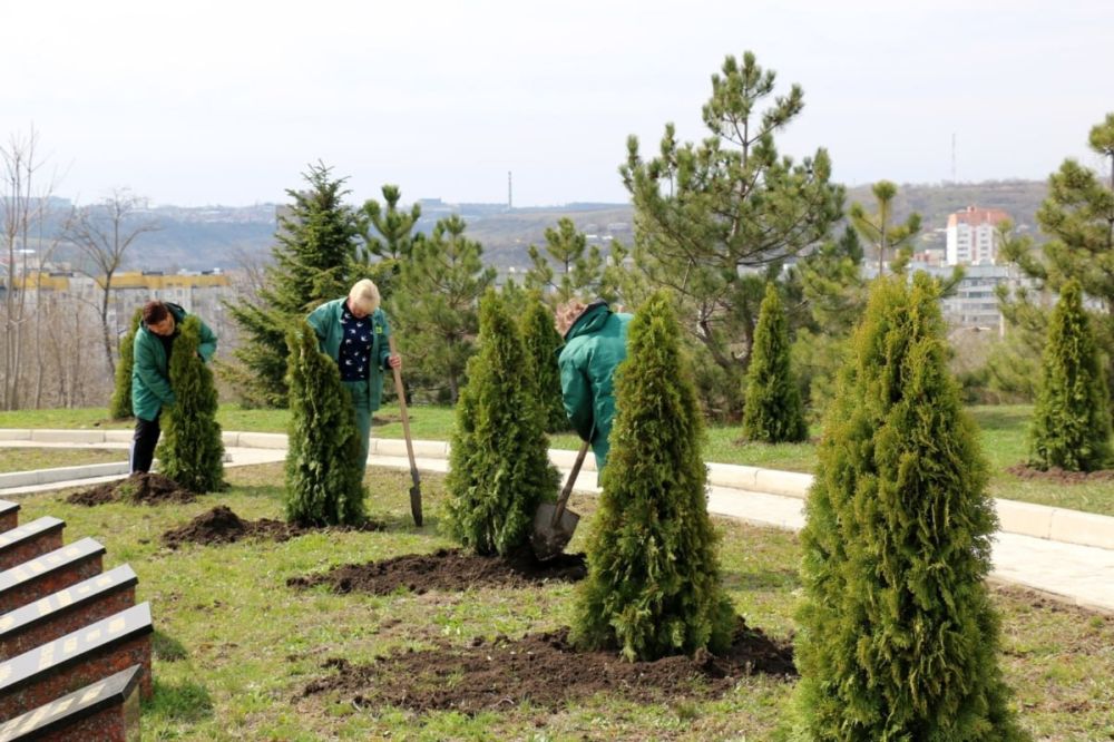 � ������� ������ ����� ������� ������������ ����������