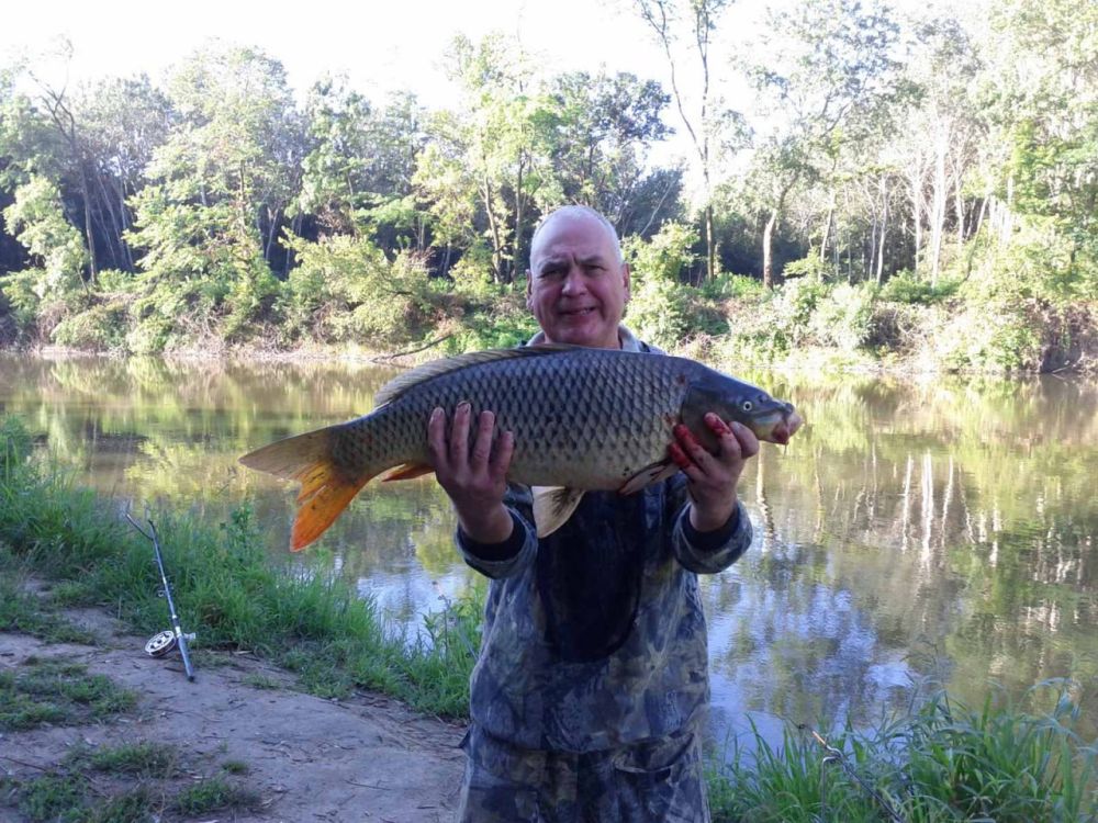 ��� ������ ������� ����������: ����� ���� 15 pro max � �������� type-c