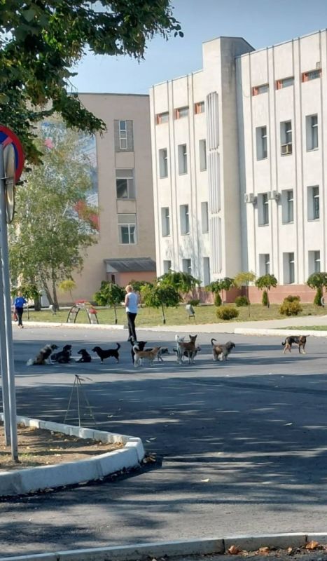 � ������� ������� ������� ����� � ������ ������