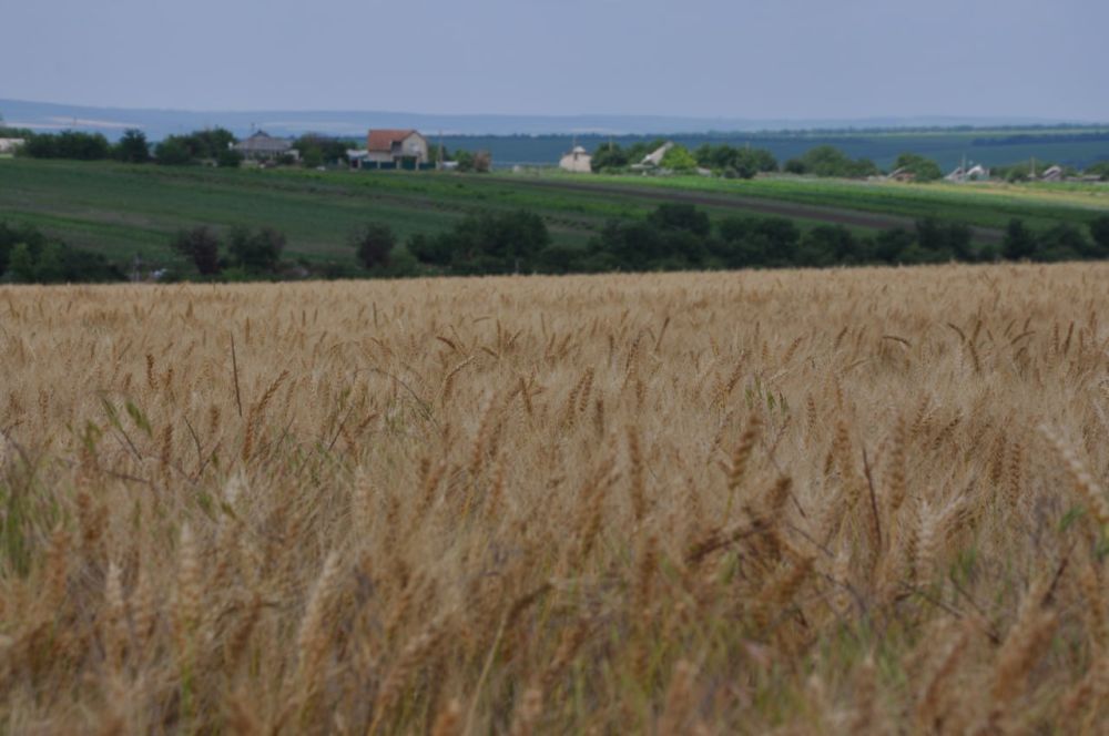 ��������������� ��������� ��������