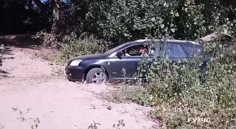 ��������� �������� ������ �� �����