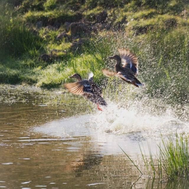 ����� ��� �������� ���������� � ��������� � ������ ������