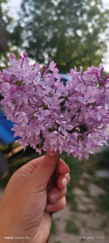 ������ ������� � �������� �������� � ���� ���������