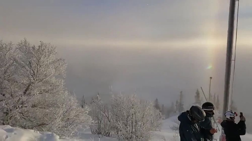 � ������ ������� ����������� �������� ����