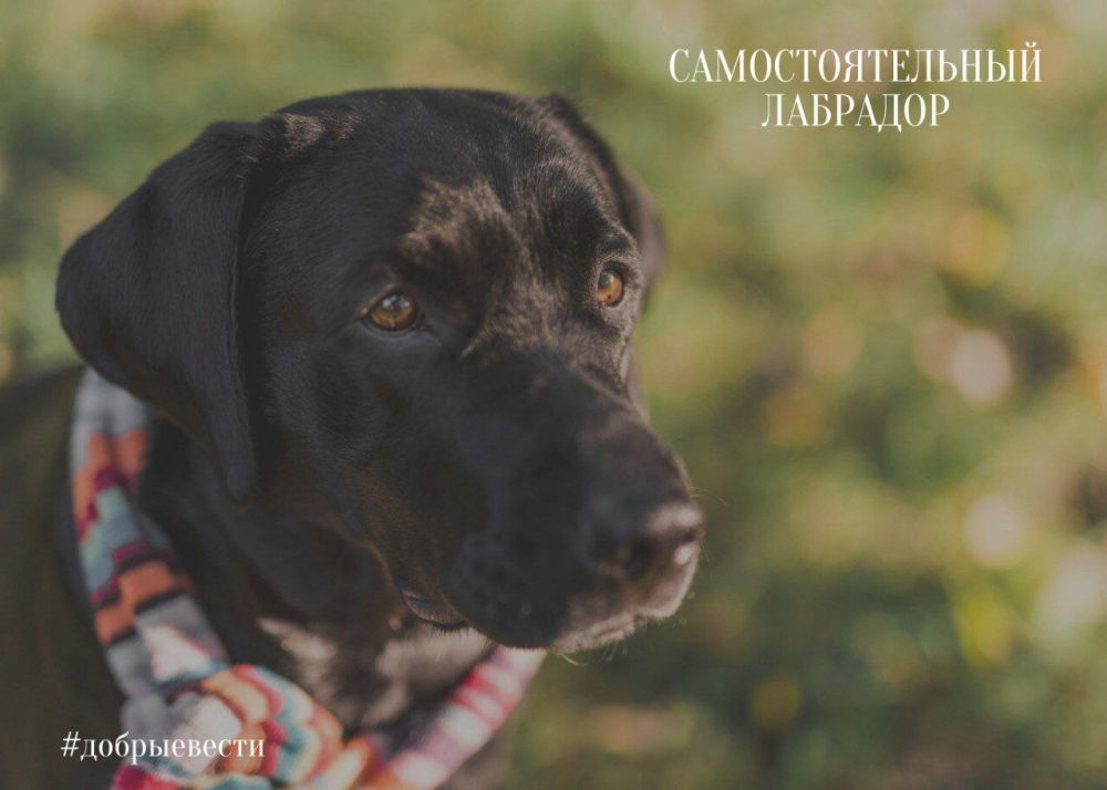 �������� �������������� ����� ���� � ������������ ���������� �� ��������