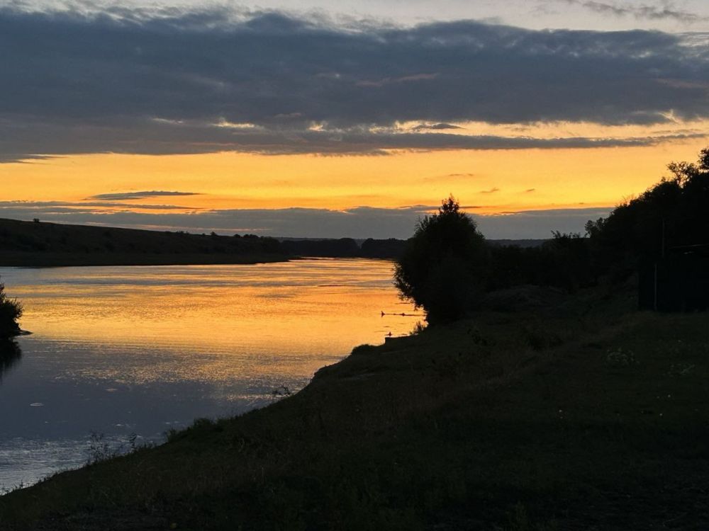 �������� ���������� ���. ���� ���� ��������