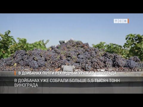 ������ ��������� �� ���������� ������� ������ � ���� ���� ����� ���������. ������ � ����� ������ �����, ������ ����� �����, ��� � �������� �� ����. � �������� ��� ������ ����� 5,5 ����� ���� ���������