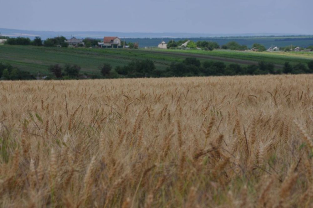 ������������� ���������� ���������������� � ������� 2023 ���� ������� 12 �������� �������� � ��������� ������, ����������� � ������� ��������������� ������� ������, �������� �����������������