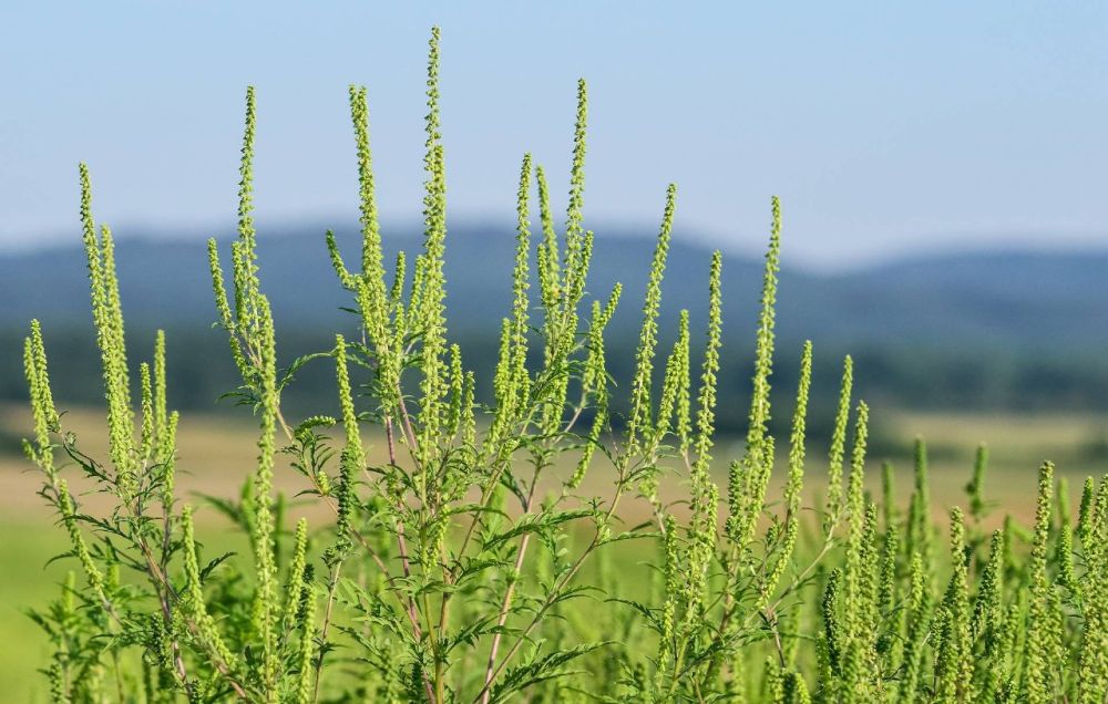 1 639 ������������ �� ��������� ��������