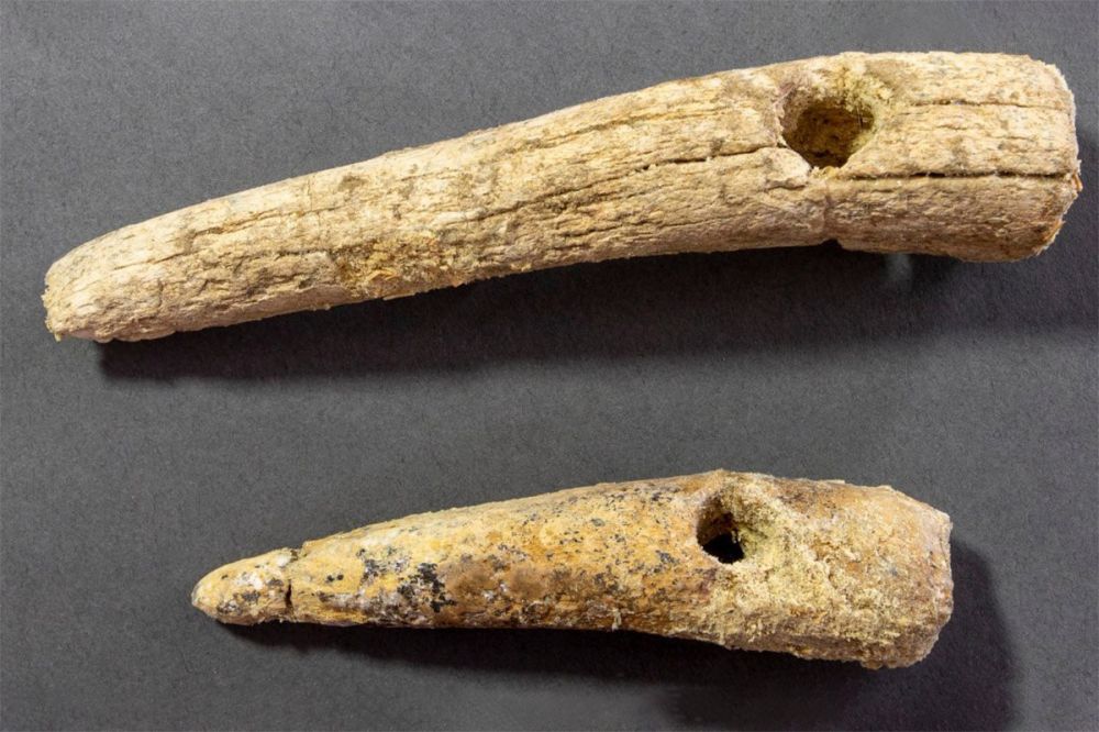 ��������������� ��������� ������������ ������� �������� �� ���������� ���������� ��������