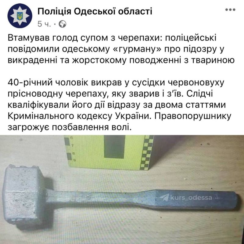 � ������ 40-������ ������ ������� ��������� ��������, �������� �������� ������ �� �������, ������ � ����