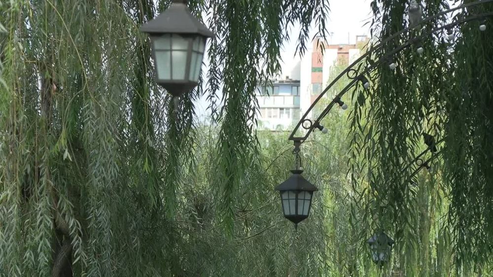 ������� ������ � ��������������