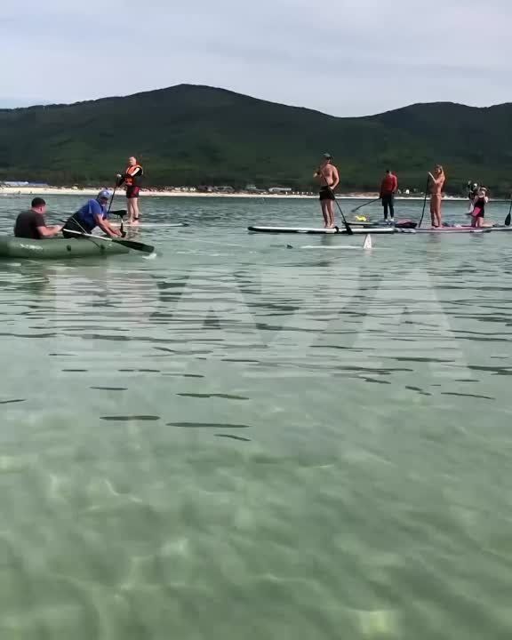 � �������� ���������� ������� ����� ����� � ������������� �����