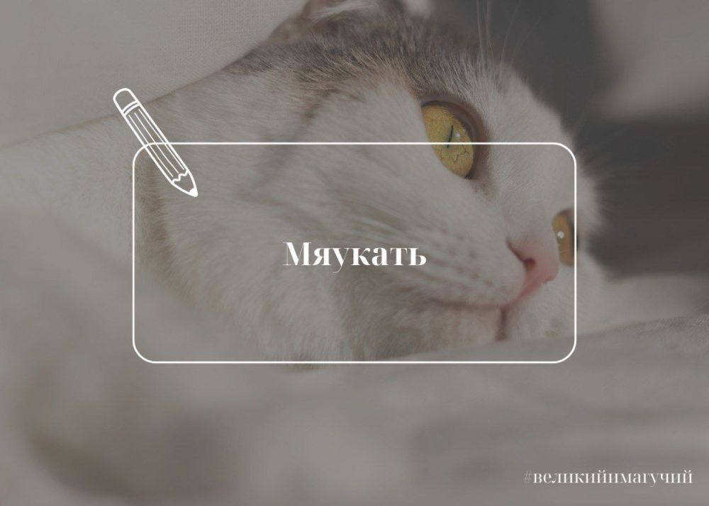 "�������" ��� "�������"?. ������ ��������, ��� ����� ������� ������� ���������� �� �������� � ������...