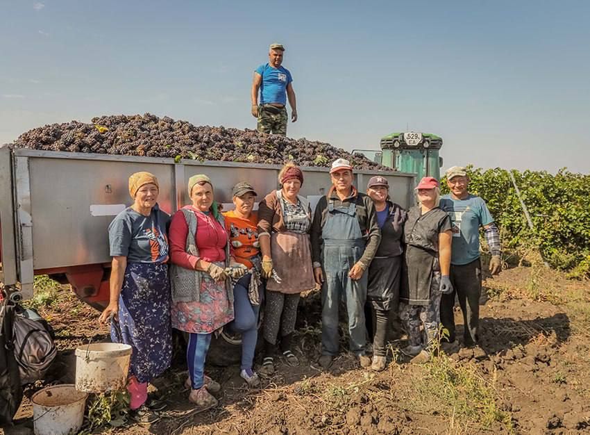 � �������� ������ ����� ������ ������