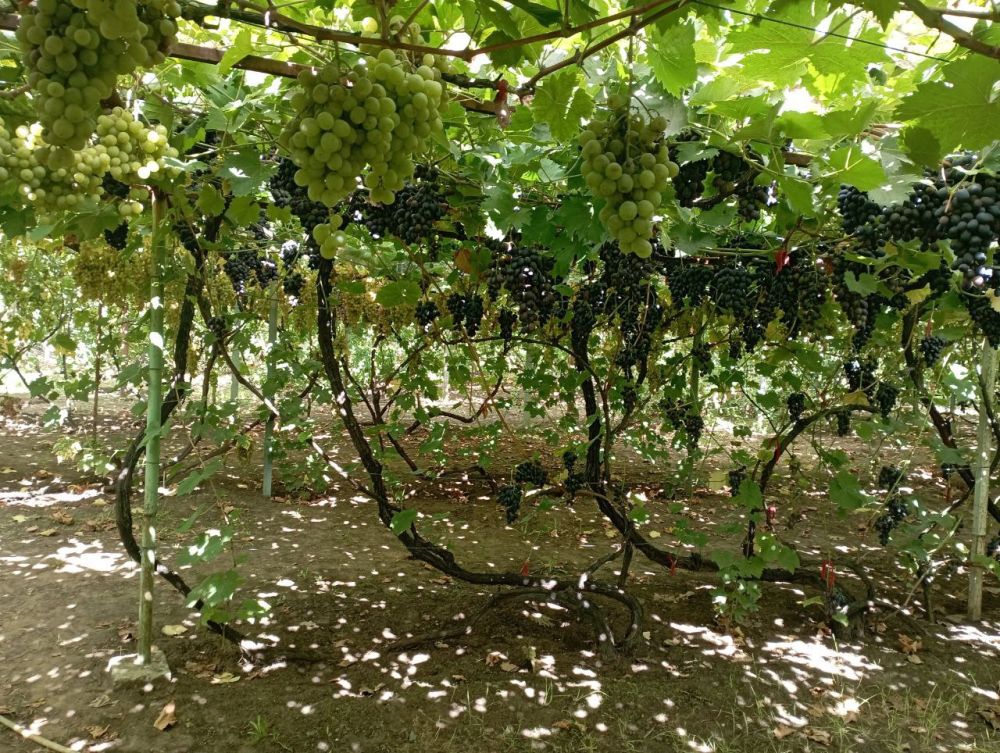 �����, ���� �������, �������, ������� � ������ �� ������ �������������