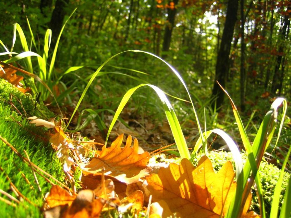 � ������������� � ���� ���������� ����"