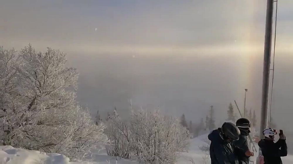 � ������ ������� �������� ��������� ����