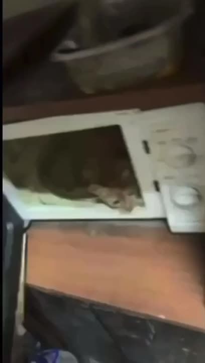 ������ ������ ������� ���� � ������������� � ���� �� ���� �����