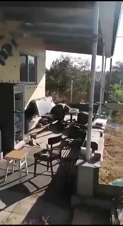 � �������� ������� ���� �������