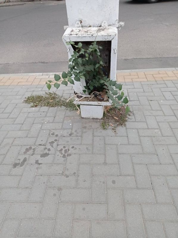 � ������ ��������� ������� ������ ����� �� ������������� �������, ����� ����������� �� ���� ����� ���������